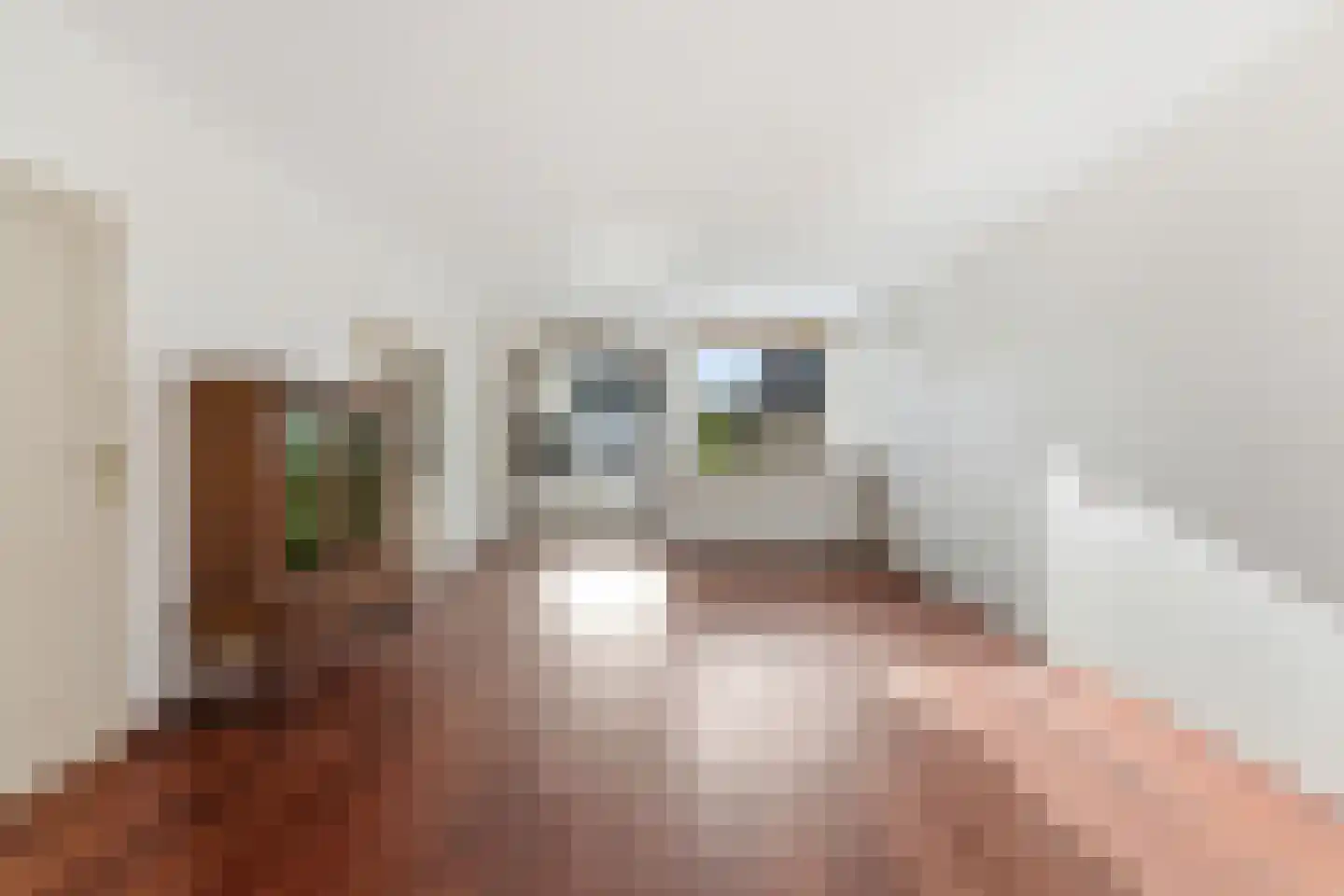 Koolmees 136 Ridderkerk thumbnail 10