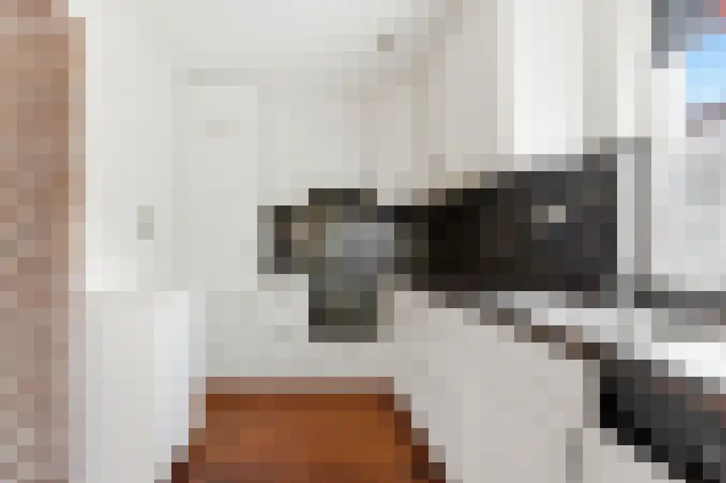 Koolmees 136 Ridderkerk thumbnail 14