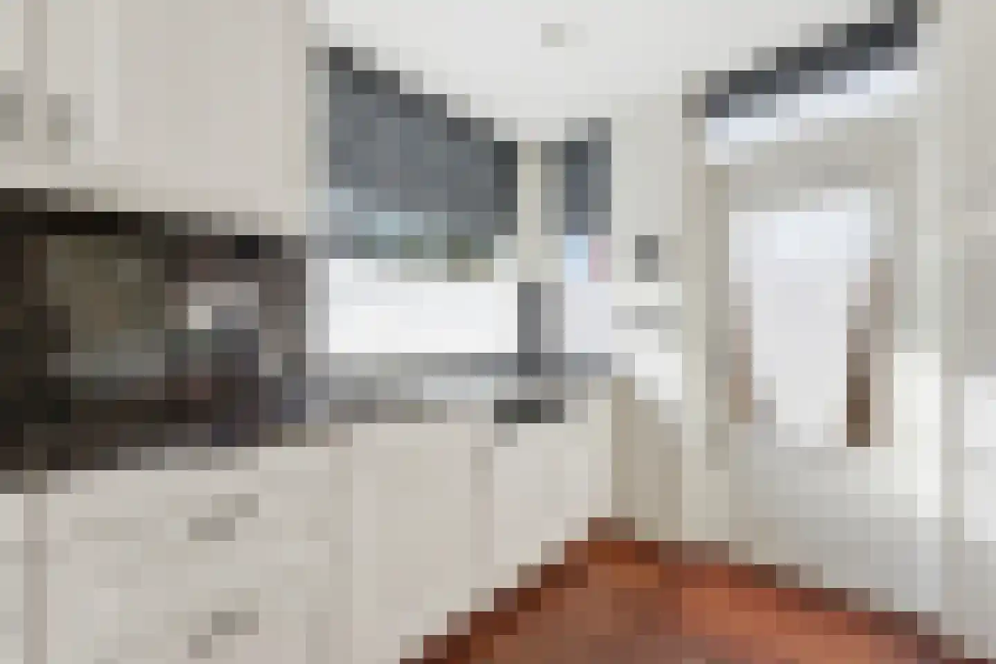 Koolmees 136 Ridderkerk thumbnail 15