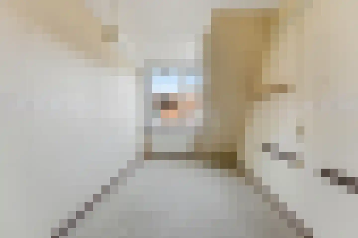 Koolmees 136 Ridderkerk thumbnail 24