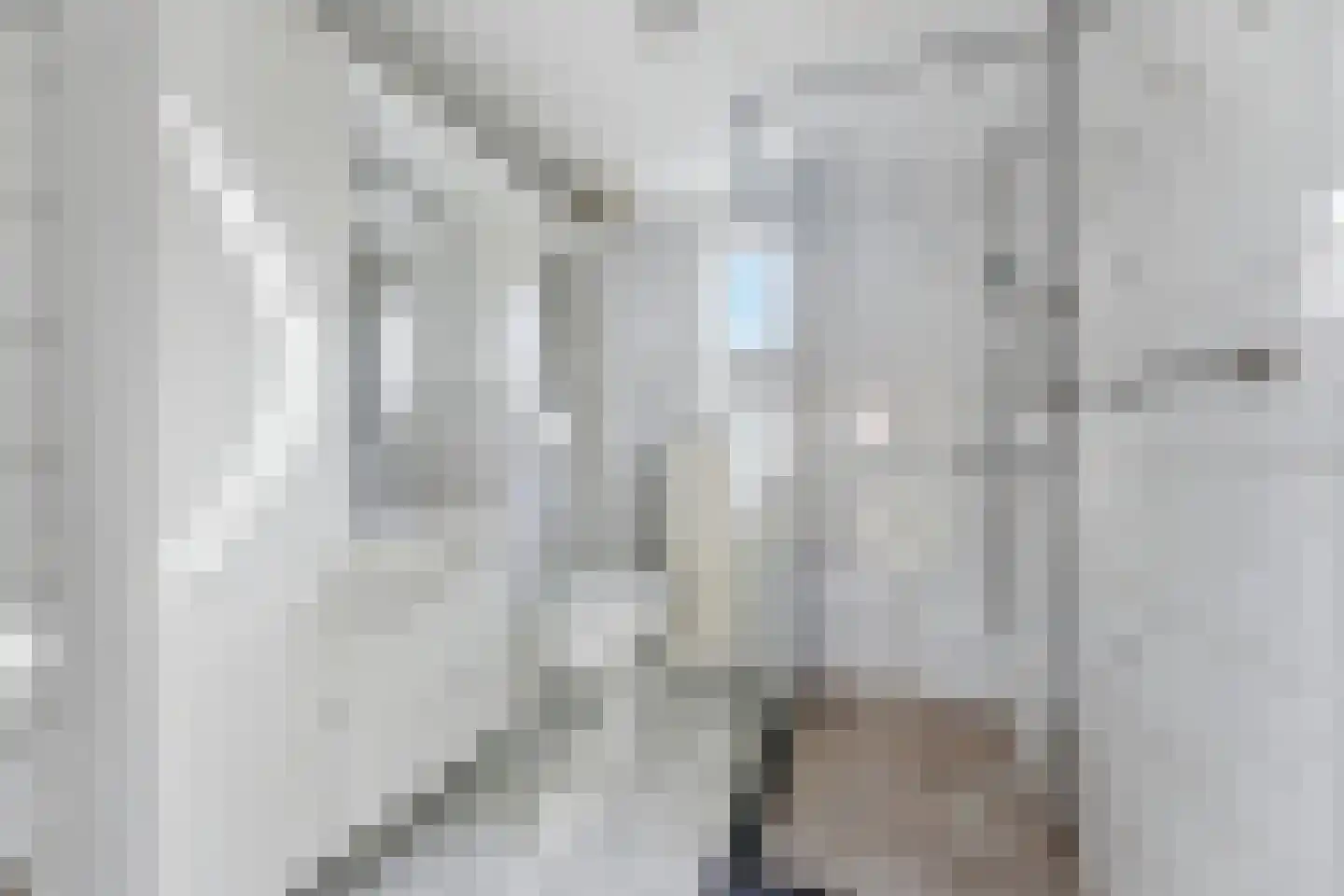 Koolmees 136 Ridderkerk thumbnail 26