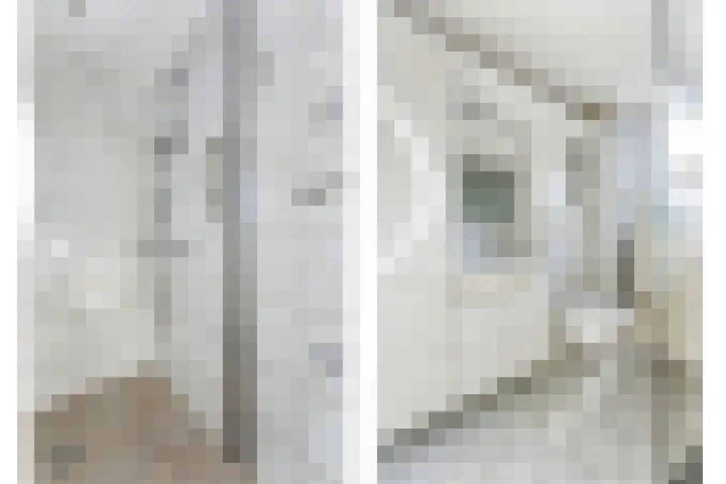 Koolmees 136 Ridderkerk thumbnail 27