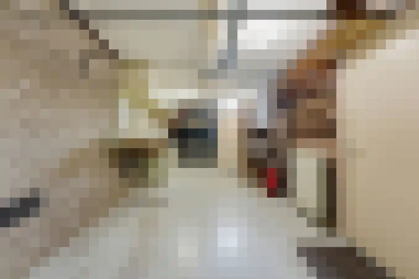 Koolmees 136 Ridderkerk thumbnail 35