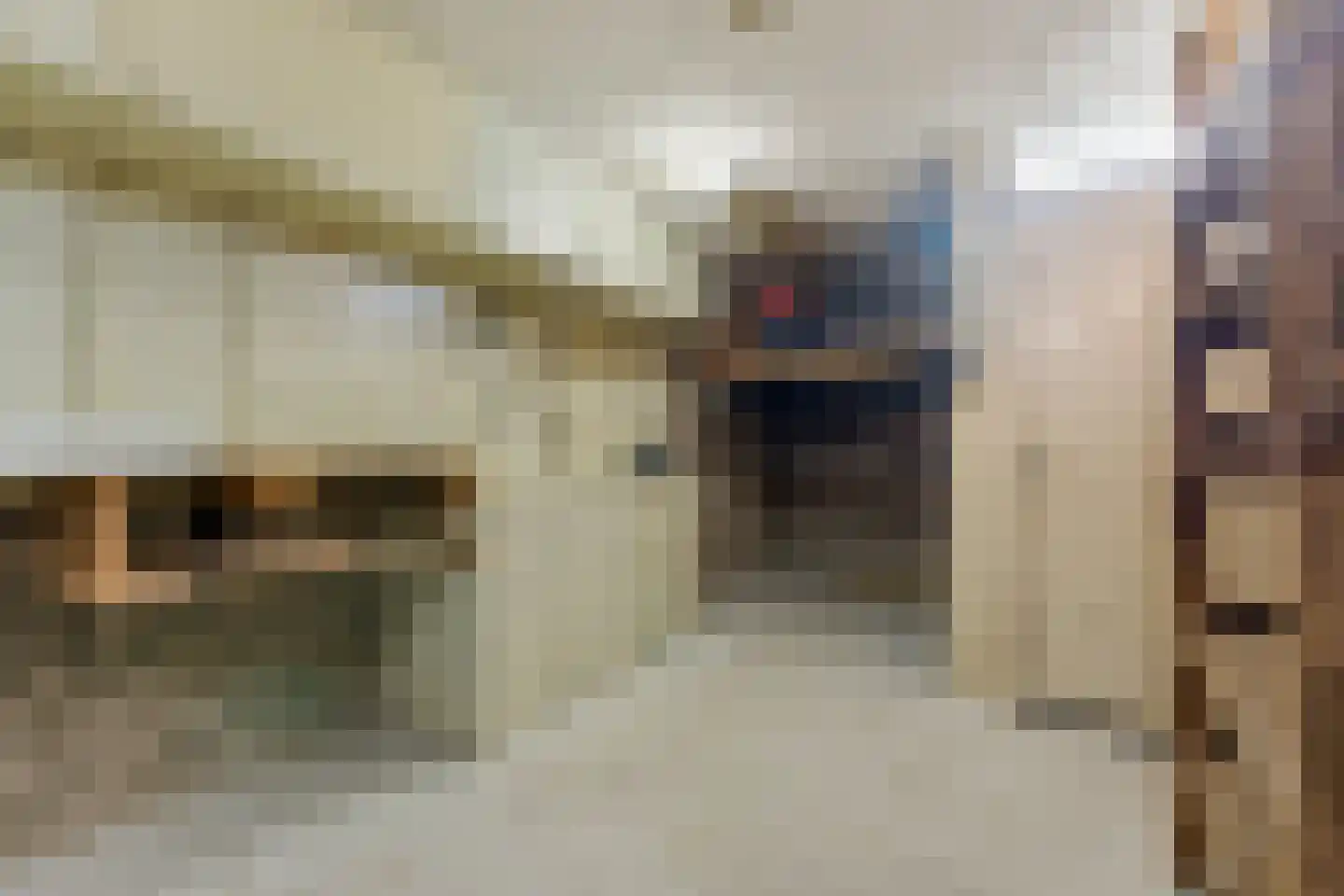 Koolmees 136 Ridderkerk thumbnail 36