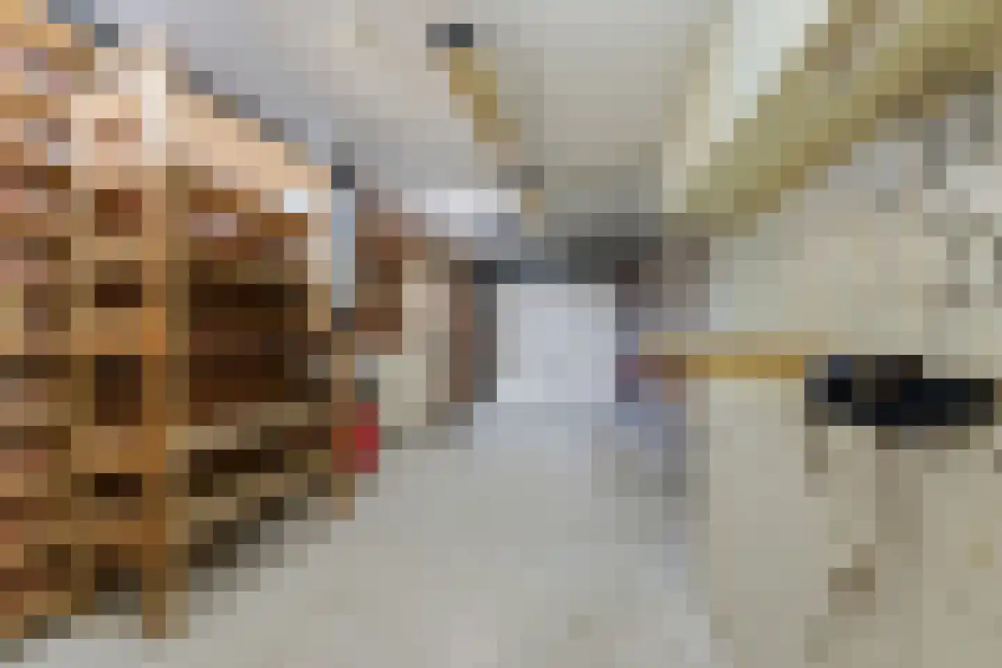 Koolmees 136 Ridderkerk thumbnail 37