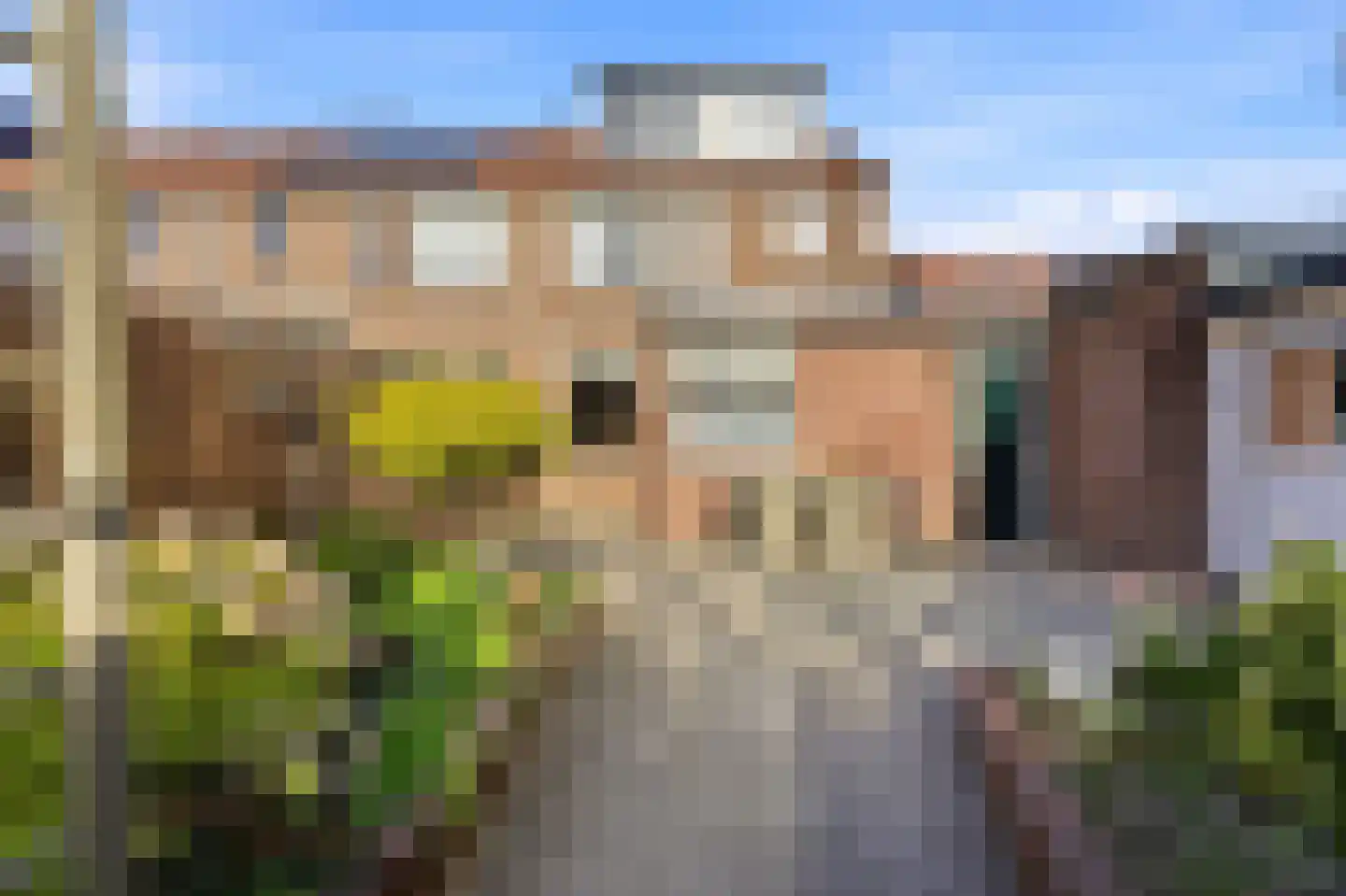 Koolmees 136 Ridderkerk thumbnail 40