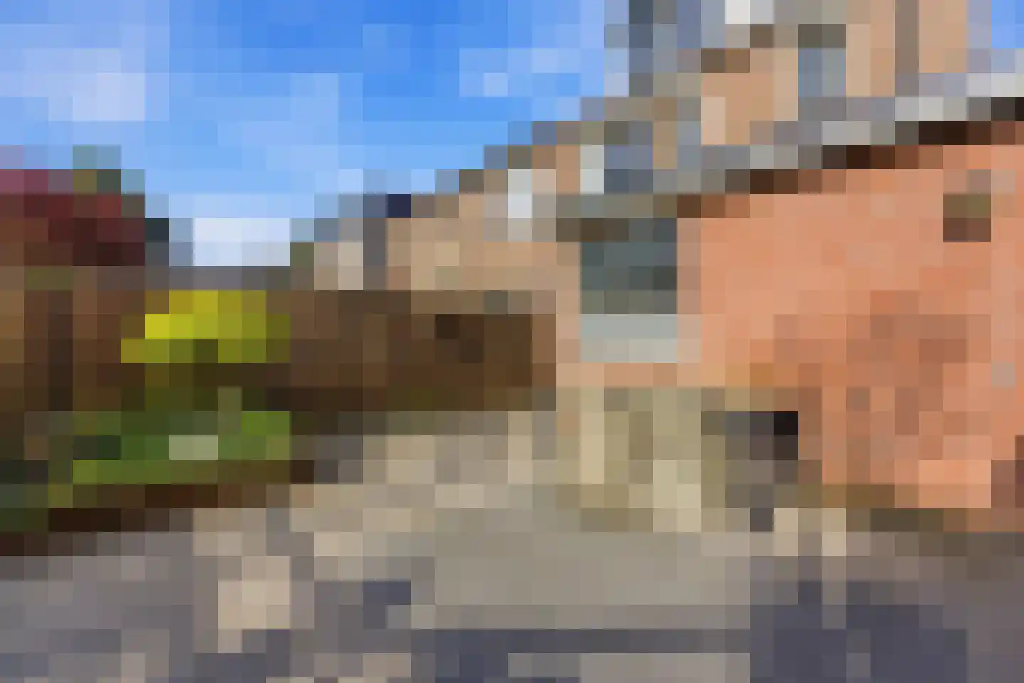 Koolmees 136 Ridderkerk thumbnail 41