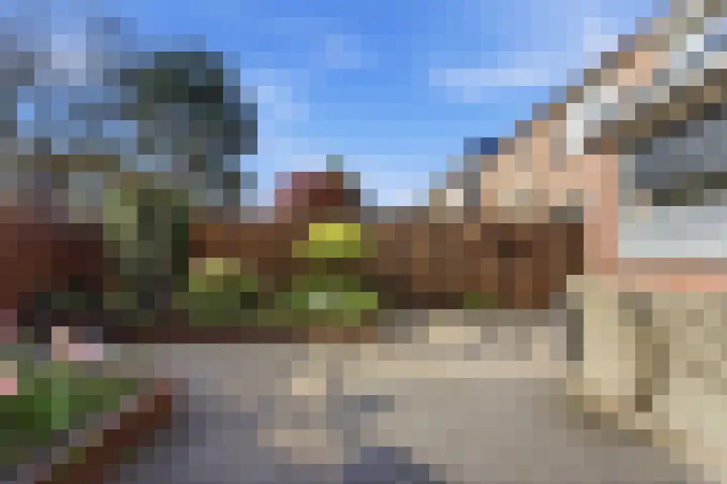 Koolmees 136 Ridderkerk thumbnail 42