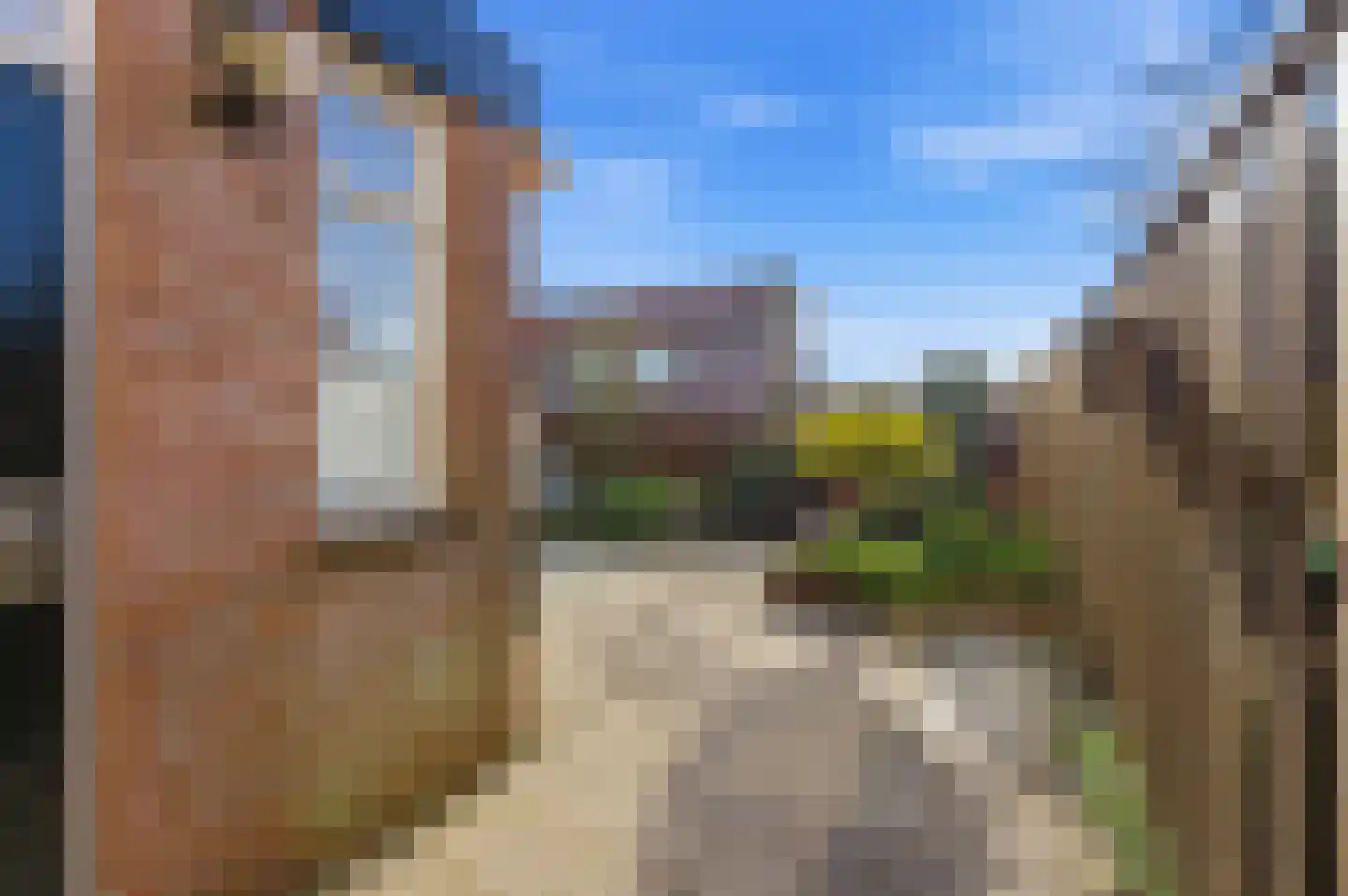Koolmees 136 Ridderkerk thumbnail 43