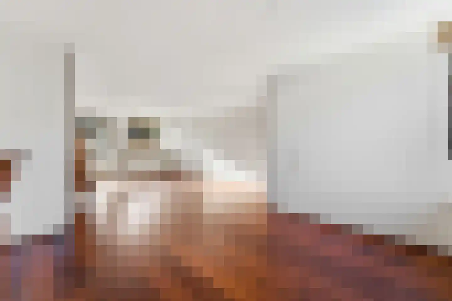 Koolmees 136 Ridderkerk thumbnail 7