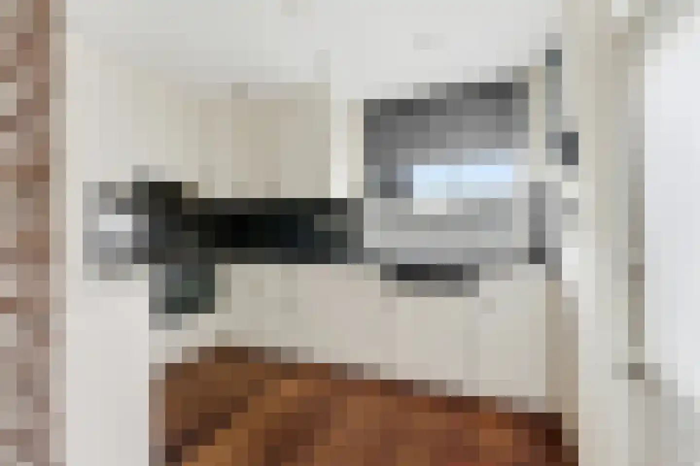 Koolmees 136 Ridderkerk thumbnail 8