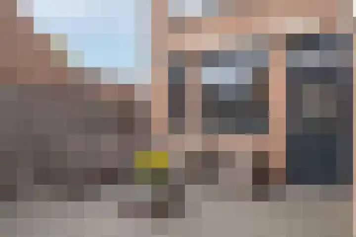 Koolmees 137 Ridderkerk thumbnail 12