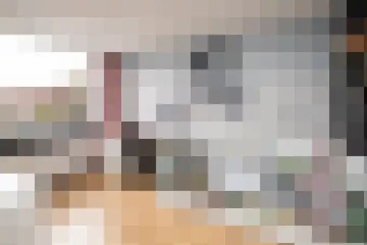 Koolmees 137 Ridderkerk thumbnail 21