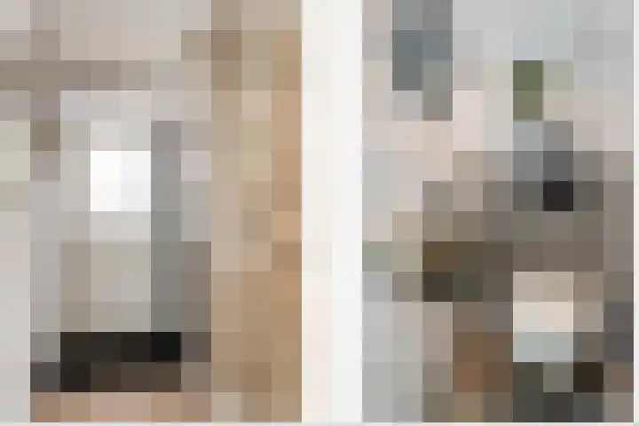 Koolmees 137 Ridderkerk thumbnail 29