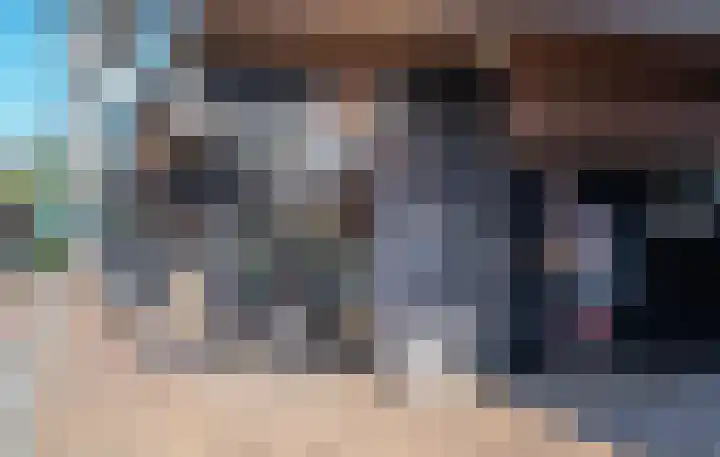 Koolmees 137 Ridderkerk thumbnail 35