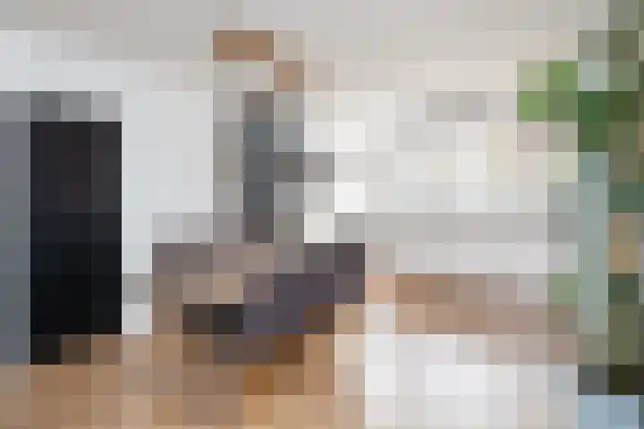 Koolmees 137 Ridderkerk thumbnail 8