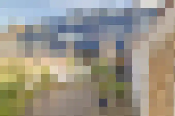 Koolmees 15 in De Lier