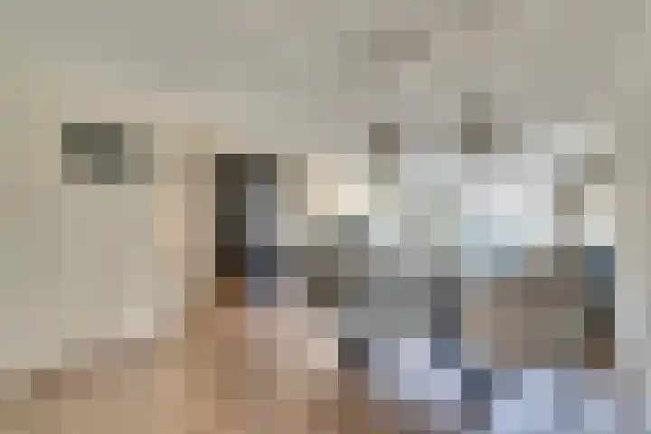 Koolmees 15 De Lier thumbnail 11