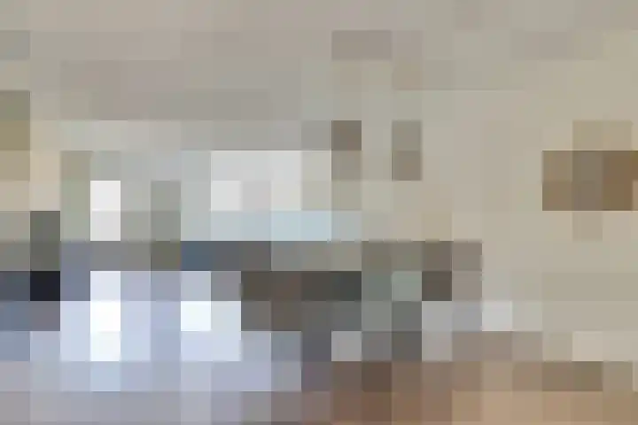 Koolmees 15 De Lier thumbnail 12