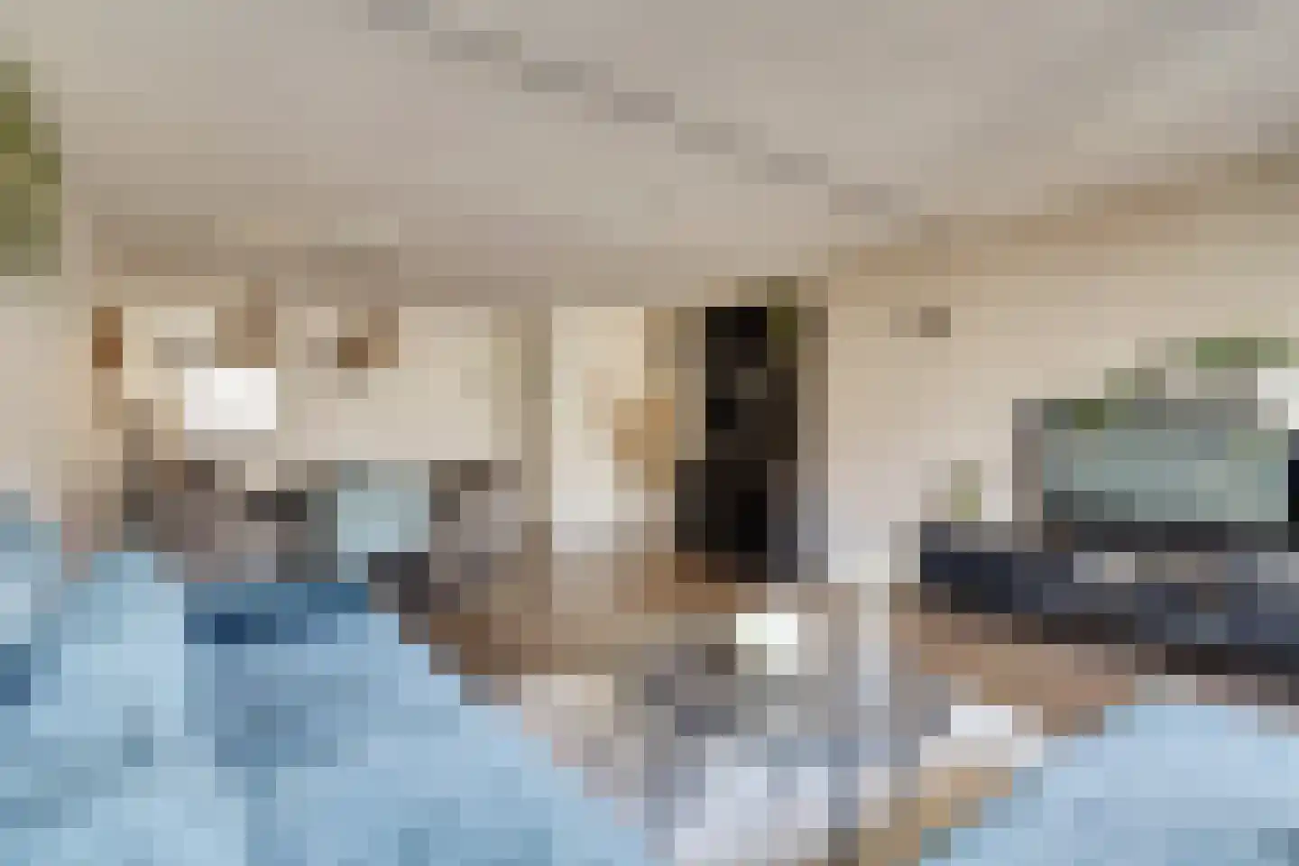 Koolmees 15 De Lier thumbnail 14