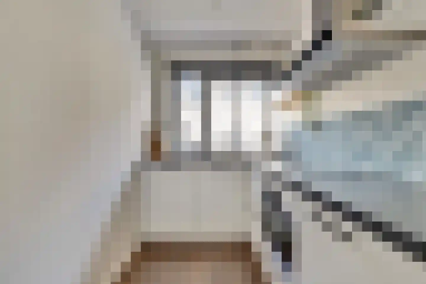 Koolmees 15 De Lier thumbnail 16