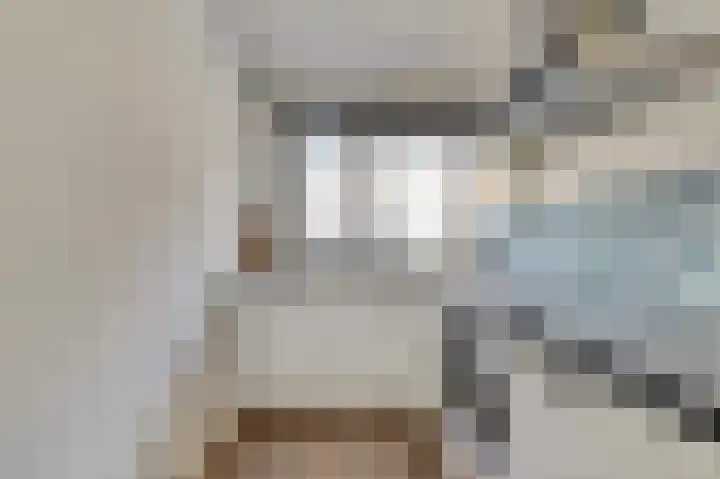 Koolmees 15 De Lier thumbnail 16