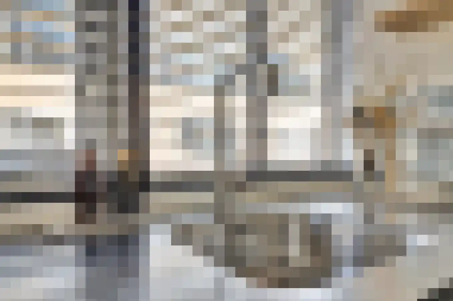 Koolmees 15 De Lier thumbnail 17
