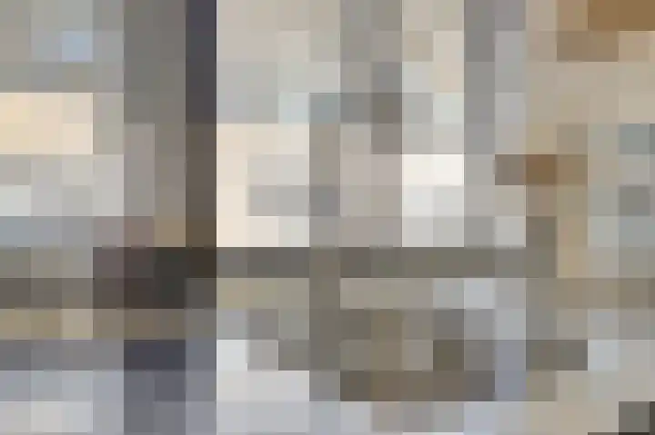 Koolmees 15 De Lier thumbnail 17