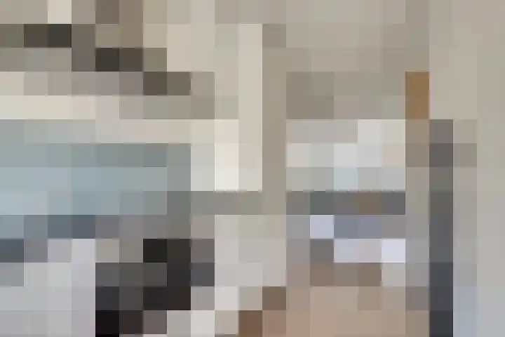 Koolmees 15 De Lier thumbnail 18