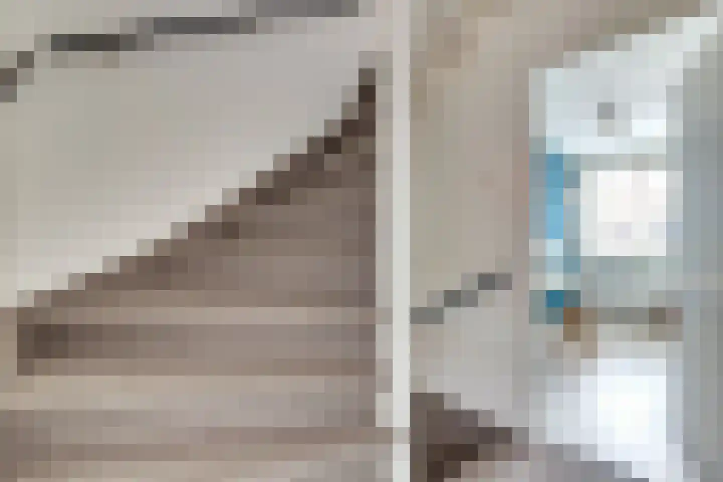 Koolmees 15 De Lier thumbnail 19