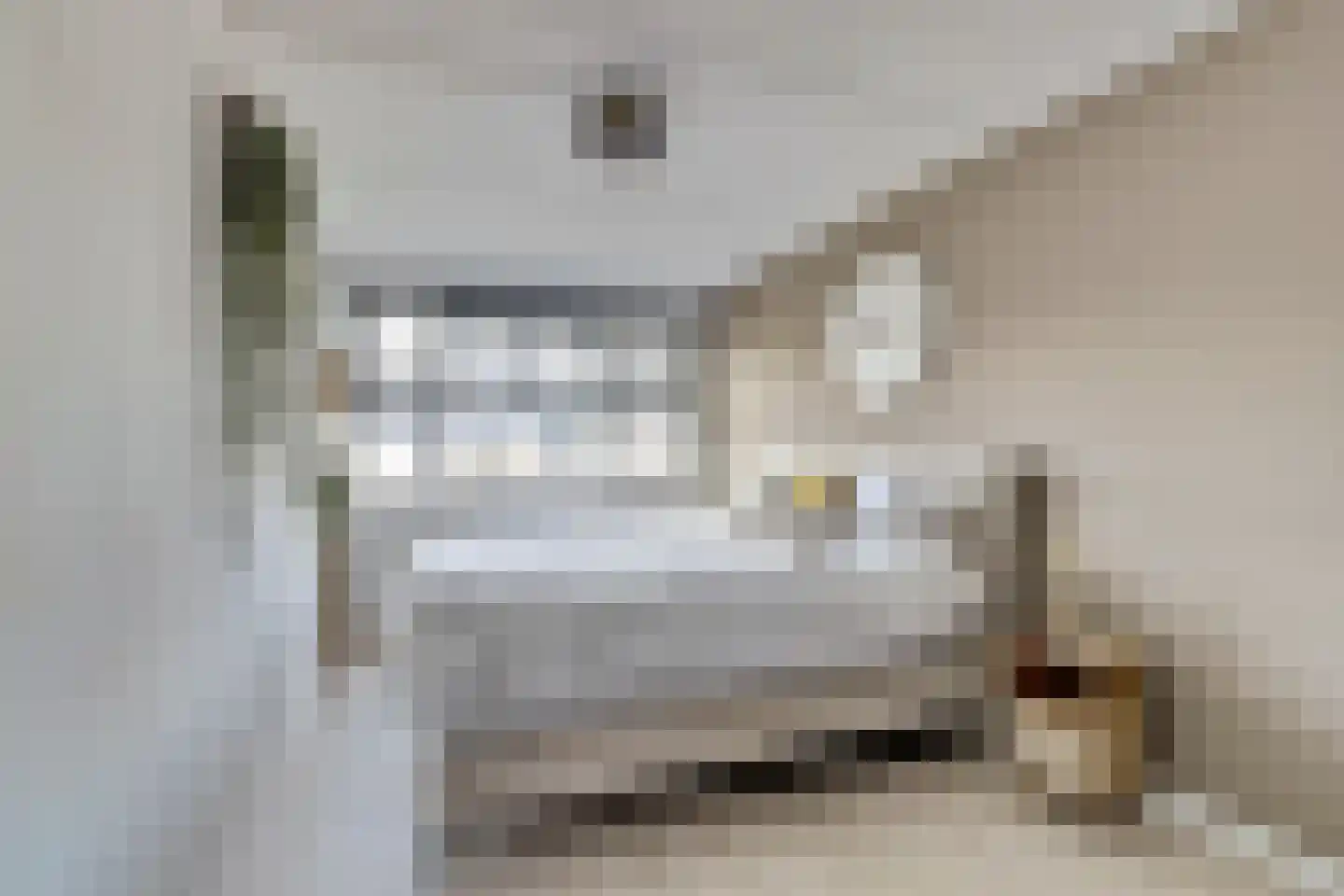 Koolmees 15 De Lier thumbnail 20