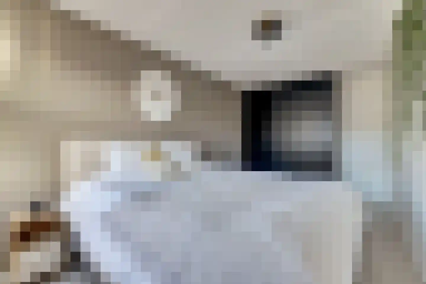 Koolmees 15 De Lier thumbnail 21