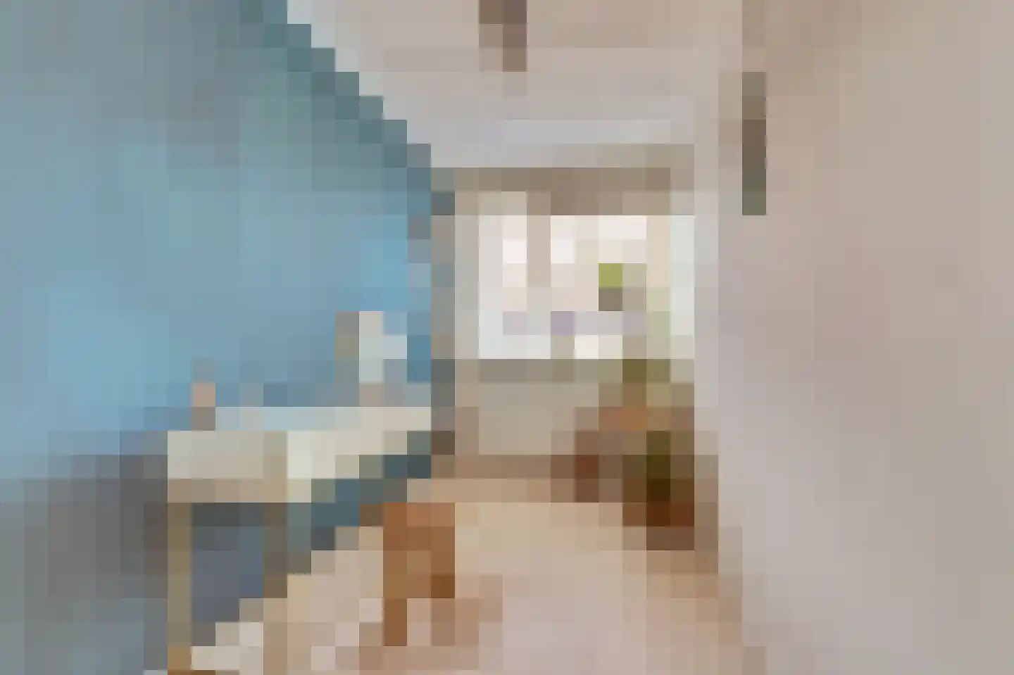 Koolmees 15 De Lier thumbnail 22