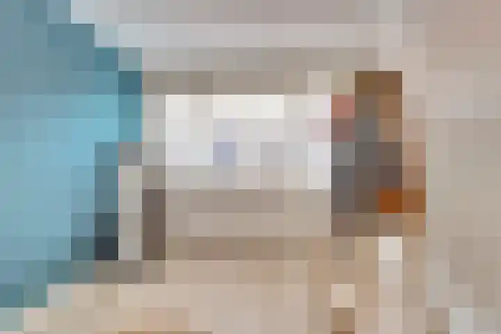 Koolmees 15 De Lier thumbnail 24