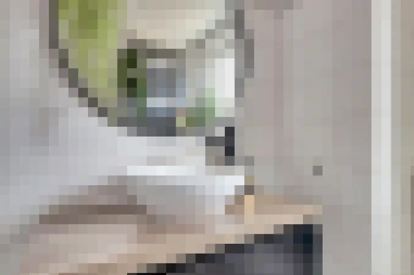Koolmees 15 De Lier thumbnail 26