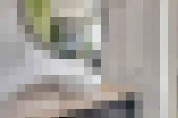 Koolmees 15 De Lier thumbnail 26