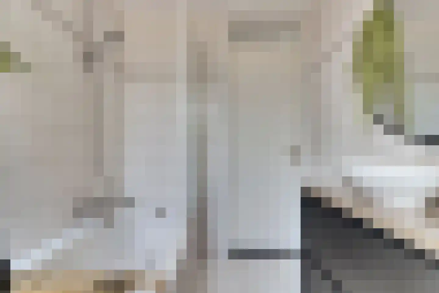 Koolmees 15 De Lier thumbnail 27