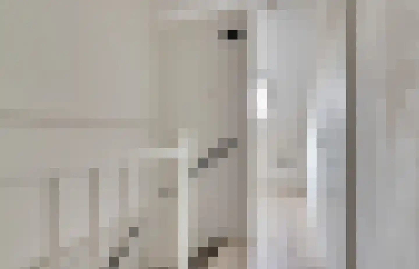 Koolmees 15 De Lier thumbnail 29