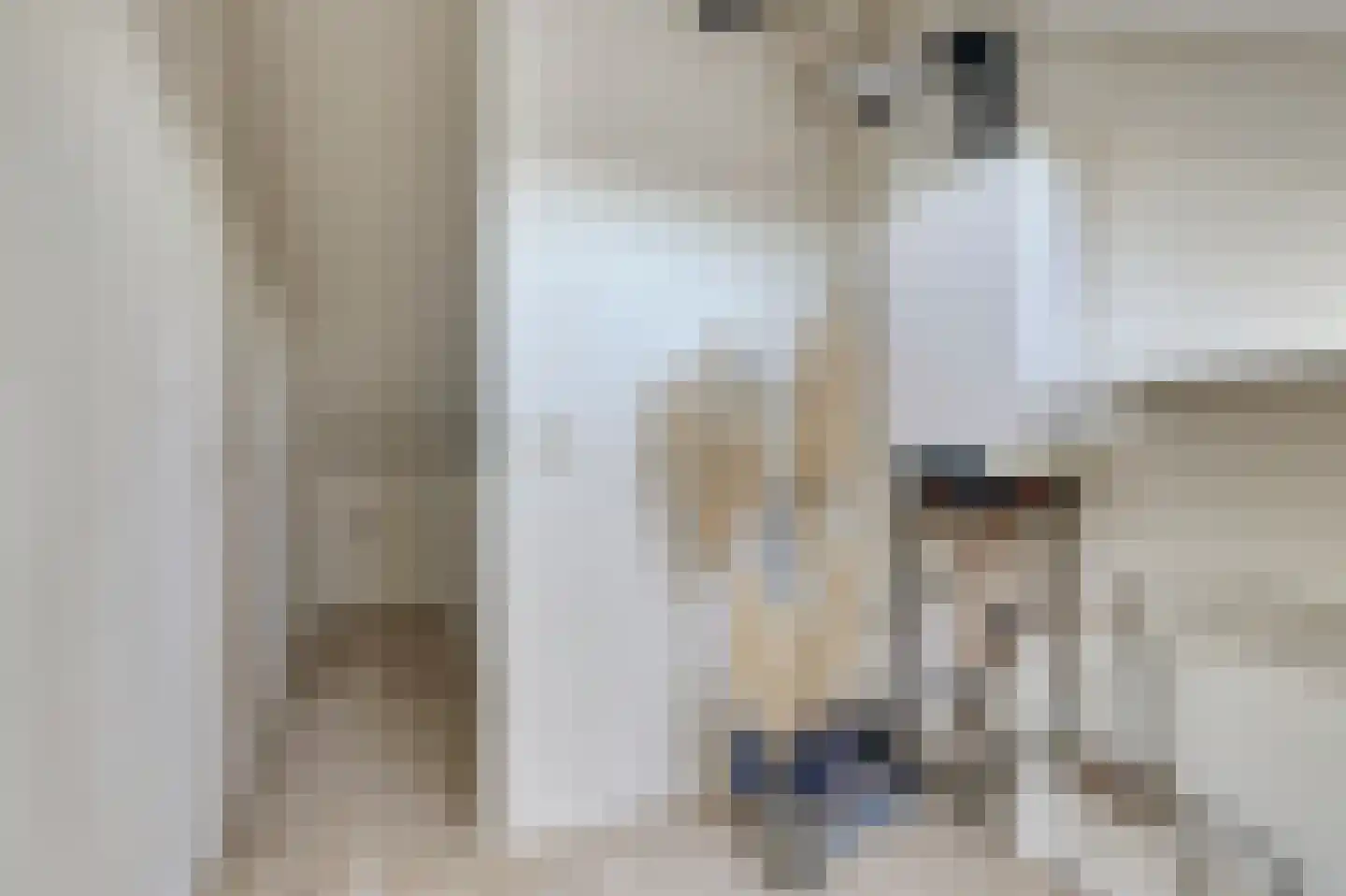 Koolmees 15 De Lier thumbnail 30