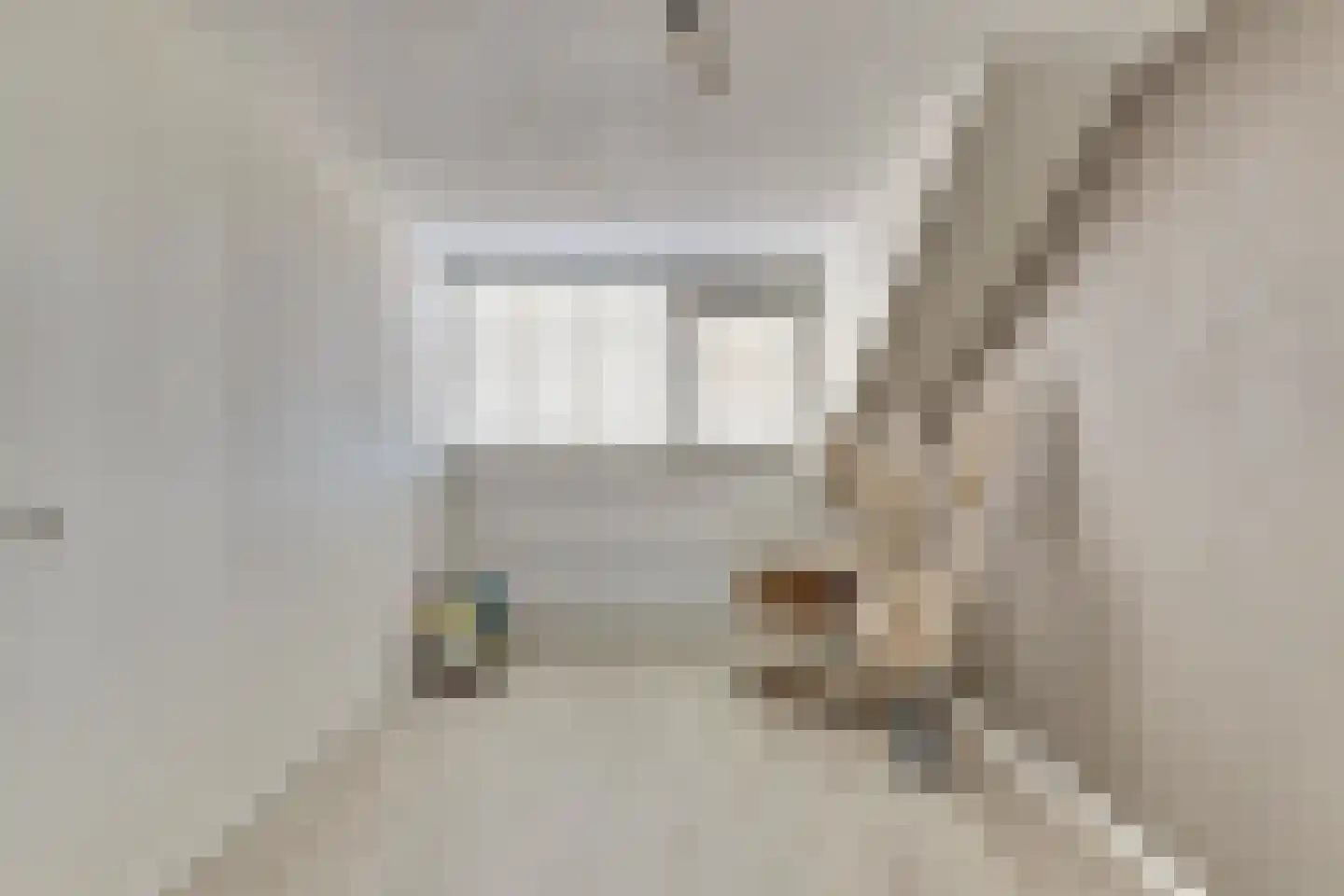 Koolmees 15 De Lier thumbnail 31