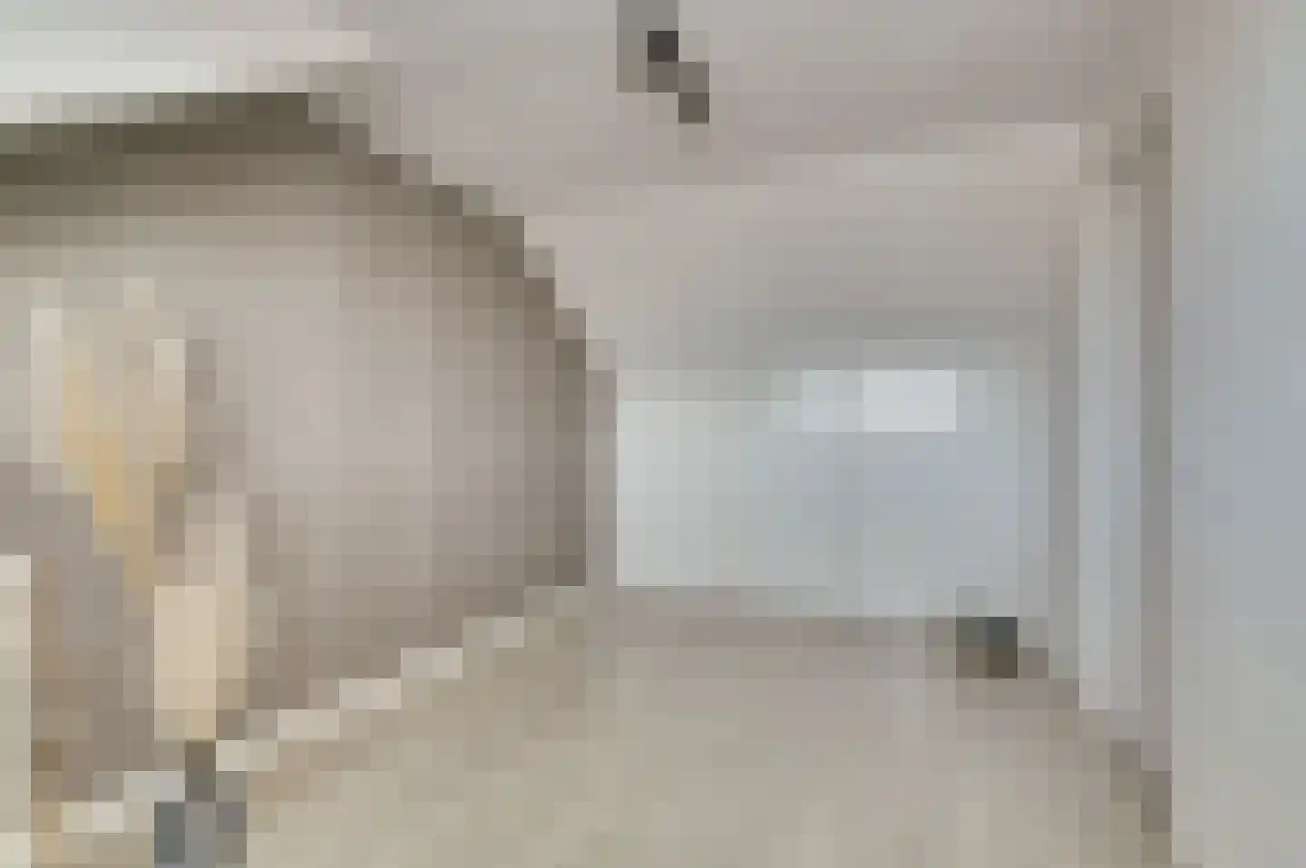 Koolmees 15 De Lier thumbnail 32
