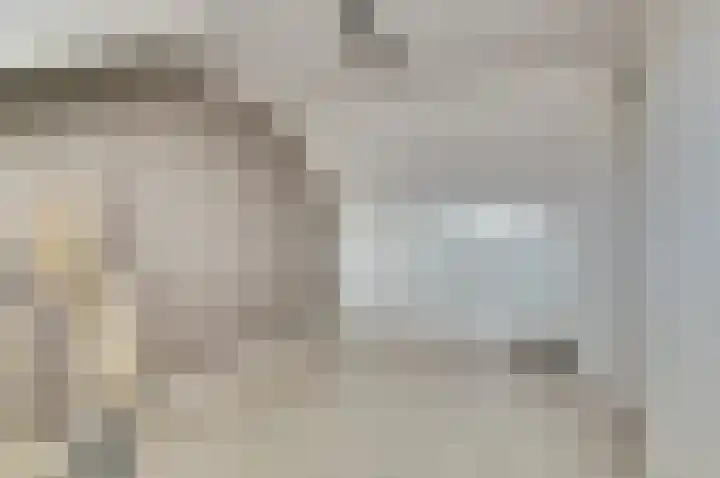 Koolmees 15 De Lier thumbnail 32