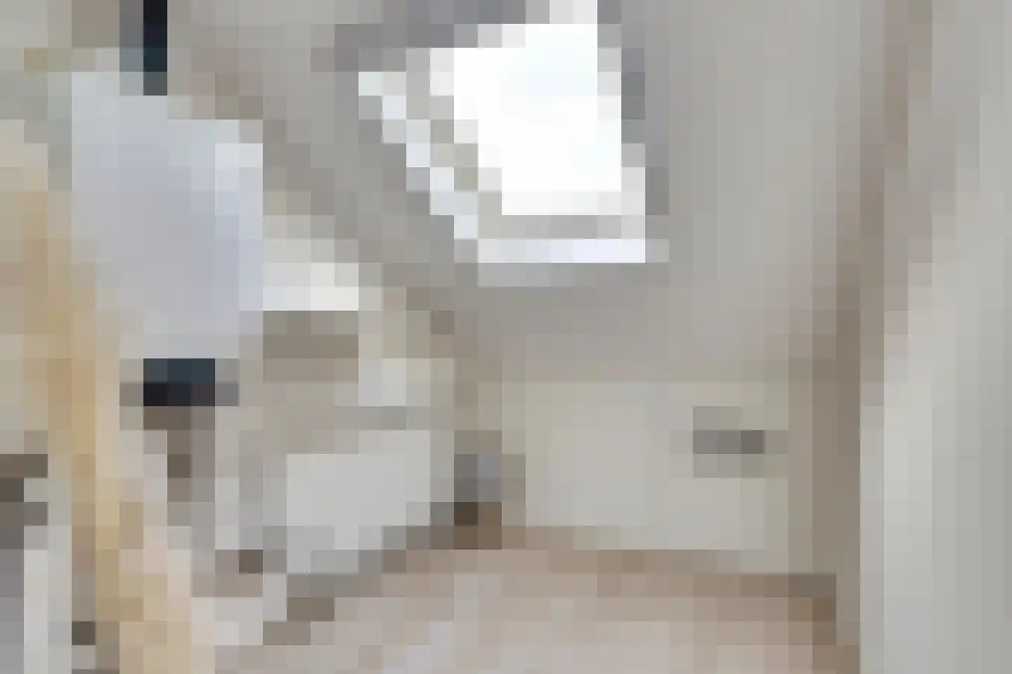 Koolmees 15 De Lier thumbnail 33