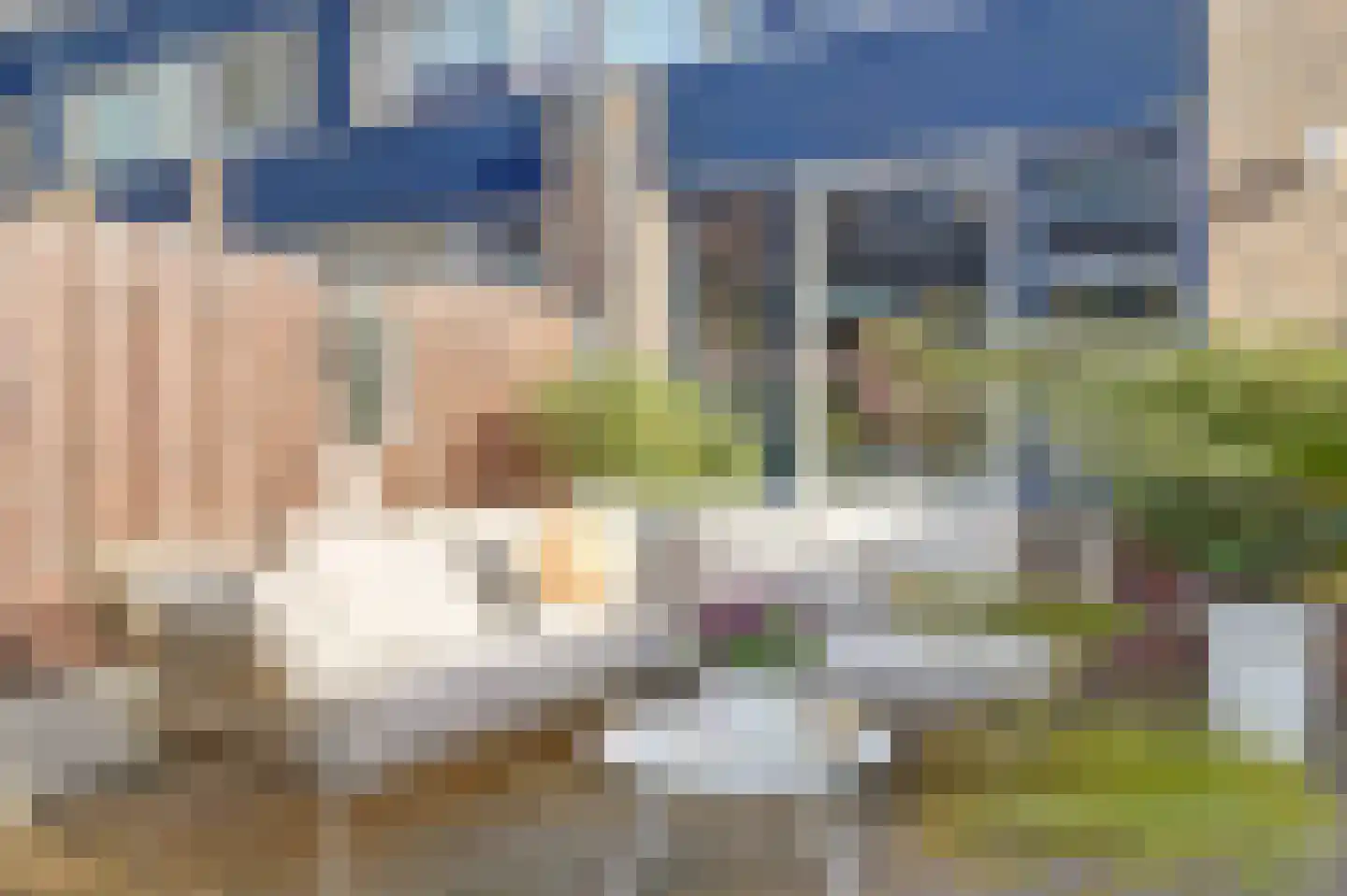 Koolmees 15 De Lier thumbnail 34