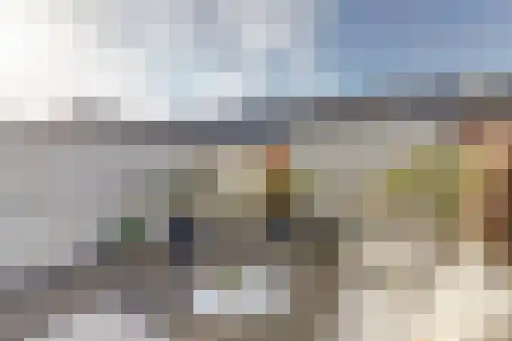 Koolmees 15 De Lier thumbnail 35
