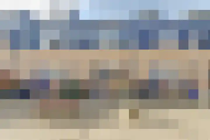 Koolmees 15 De Lier thumbnail 37