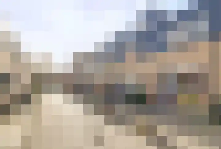 Koolmees 15 De Lier thumbnail 38