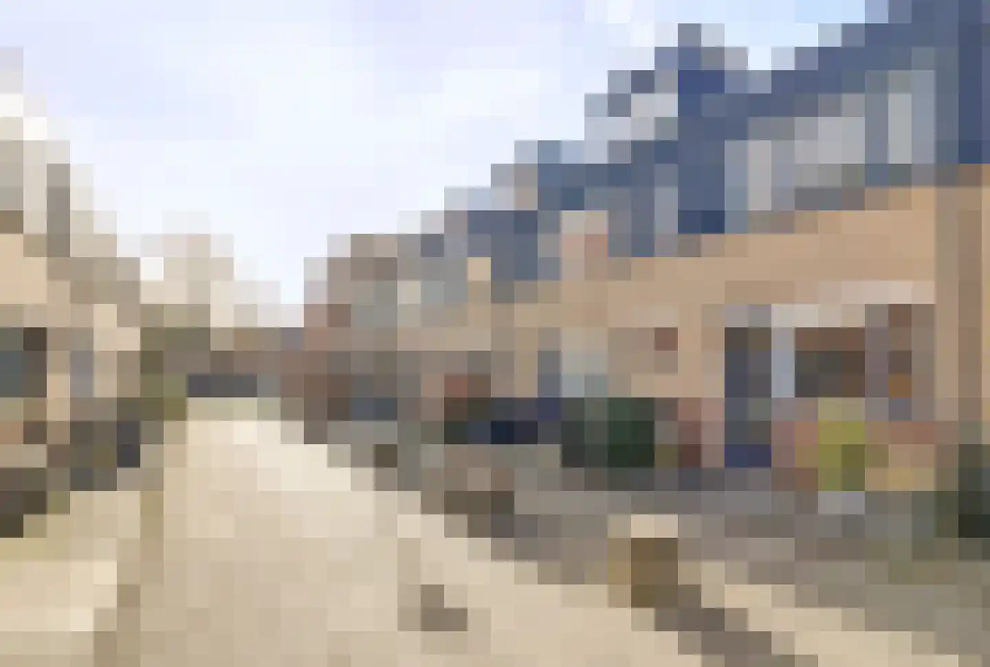 Koolmees 15 De Lier thumbnail 38