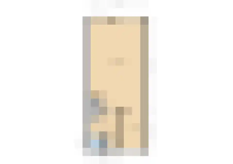 Koolmees 15 De Lier thumbnail 39