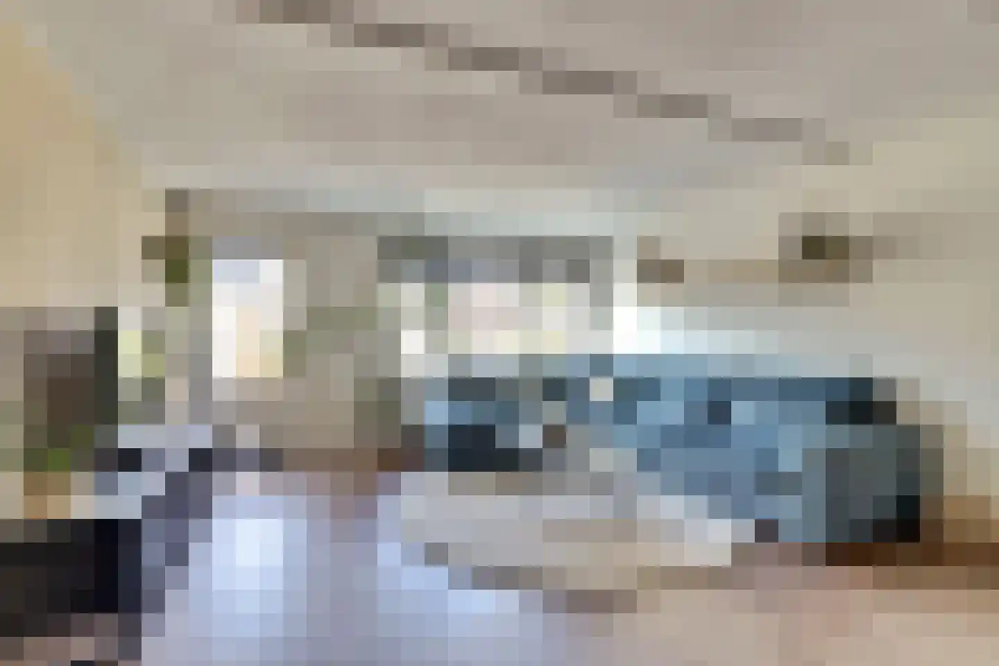 Koolmees 15 De Lier thumbnail 4